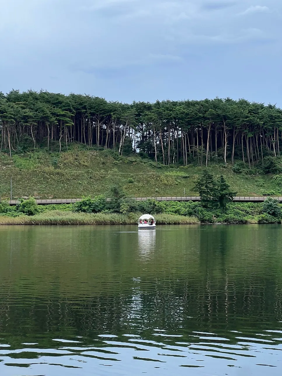 보트에서 멀리 바라본 카페 둔치 전경