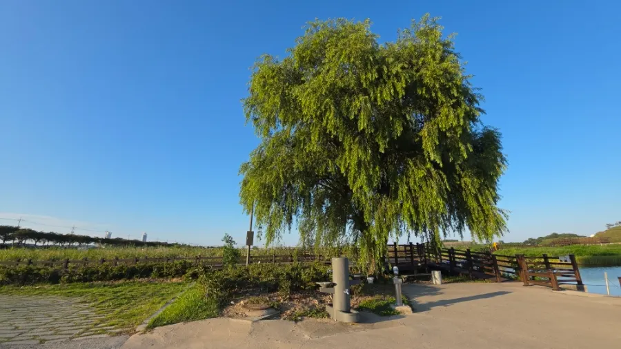 Namdaecheon riverside with seasonal scenery in view