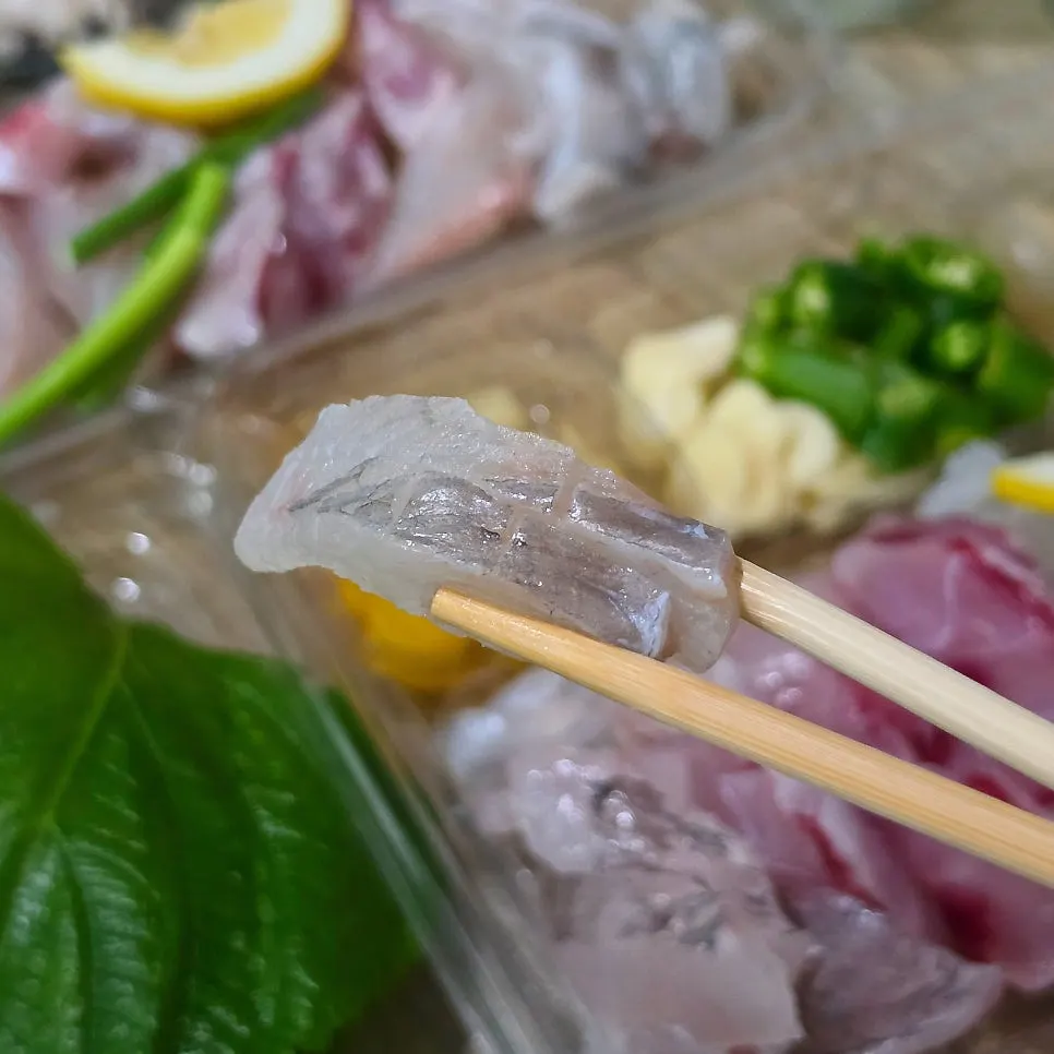 Cross-section of assorted sashimi by type