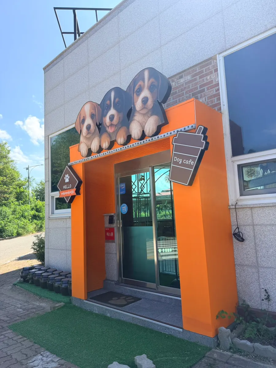 양양 애견동반카페 헬로맘마미아 전경