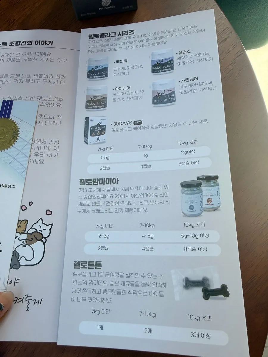 헬로플라그 특허증 안내