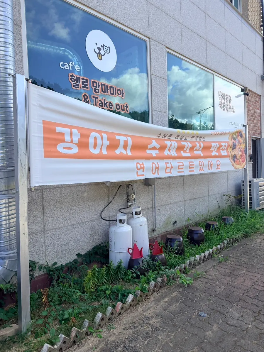 직접 만들어 판매하는 강아지 수제간식