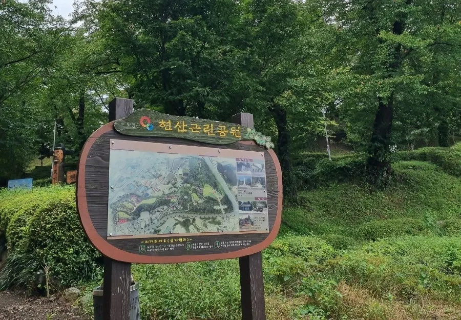 Downtown Yangyang seen from the park