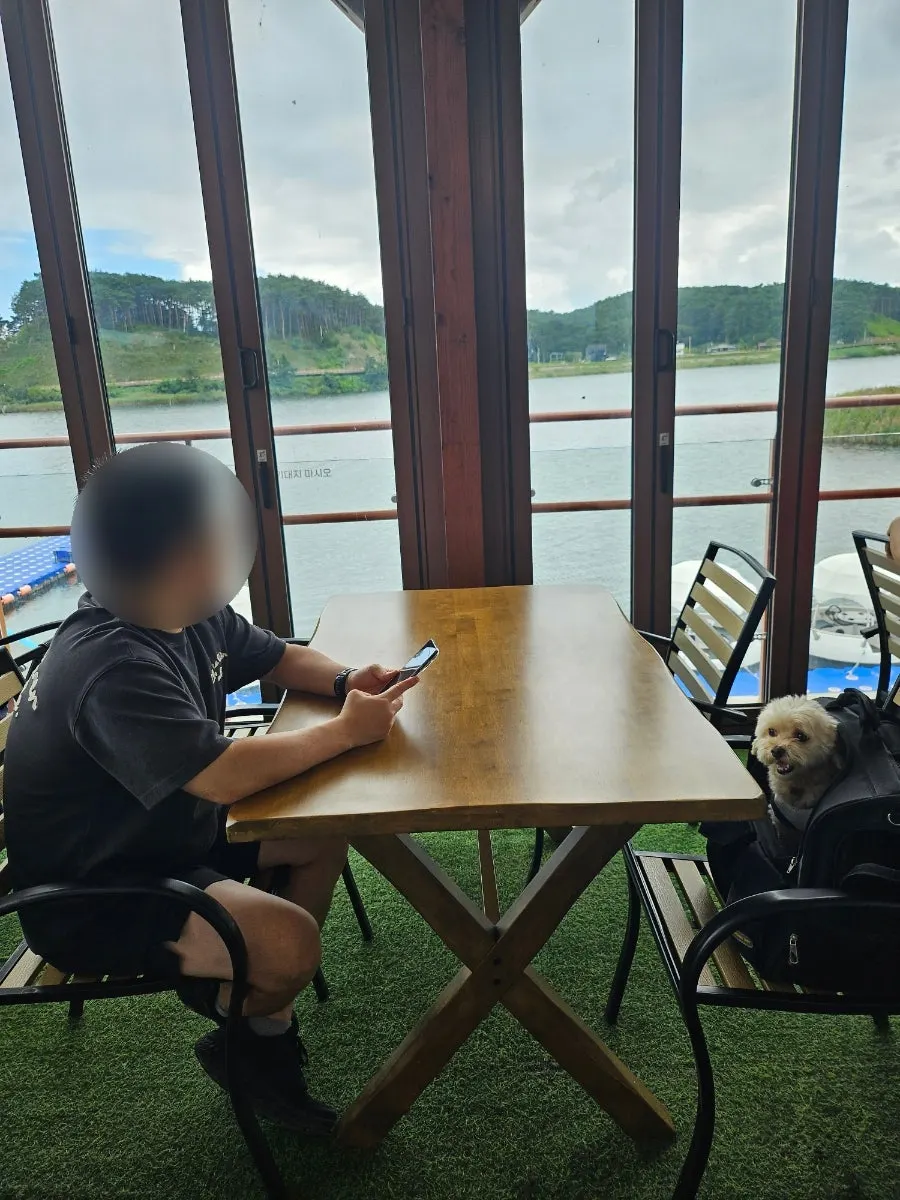 Namdaecheon scenery beyond the floor-to-ceiling window
