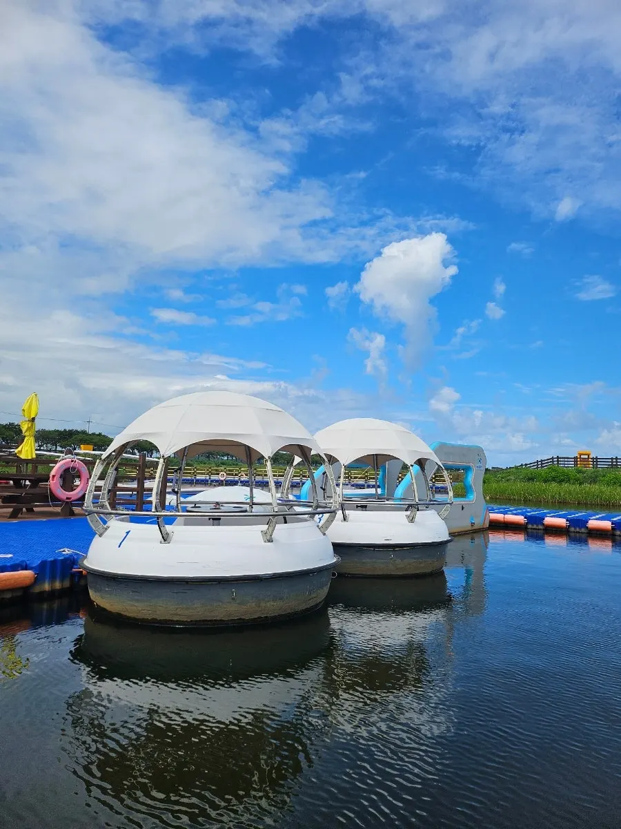 Driving an electric boat on Namdaecheon