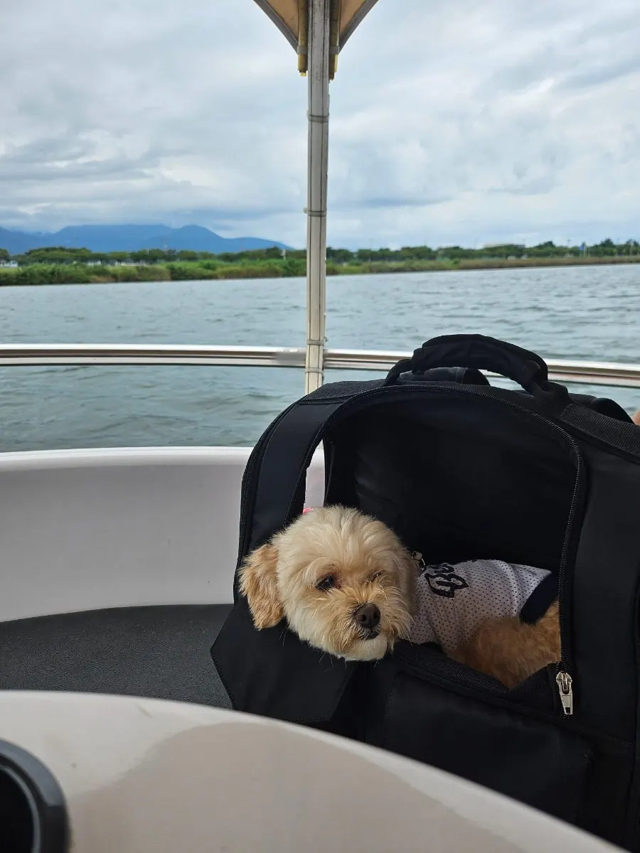 Boat experience on a day turning toward autumn