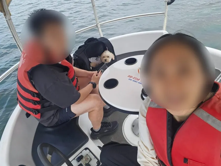 Pet dog resting in a bag on the boat