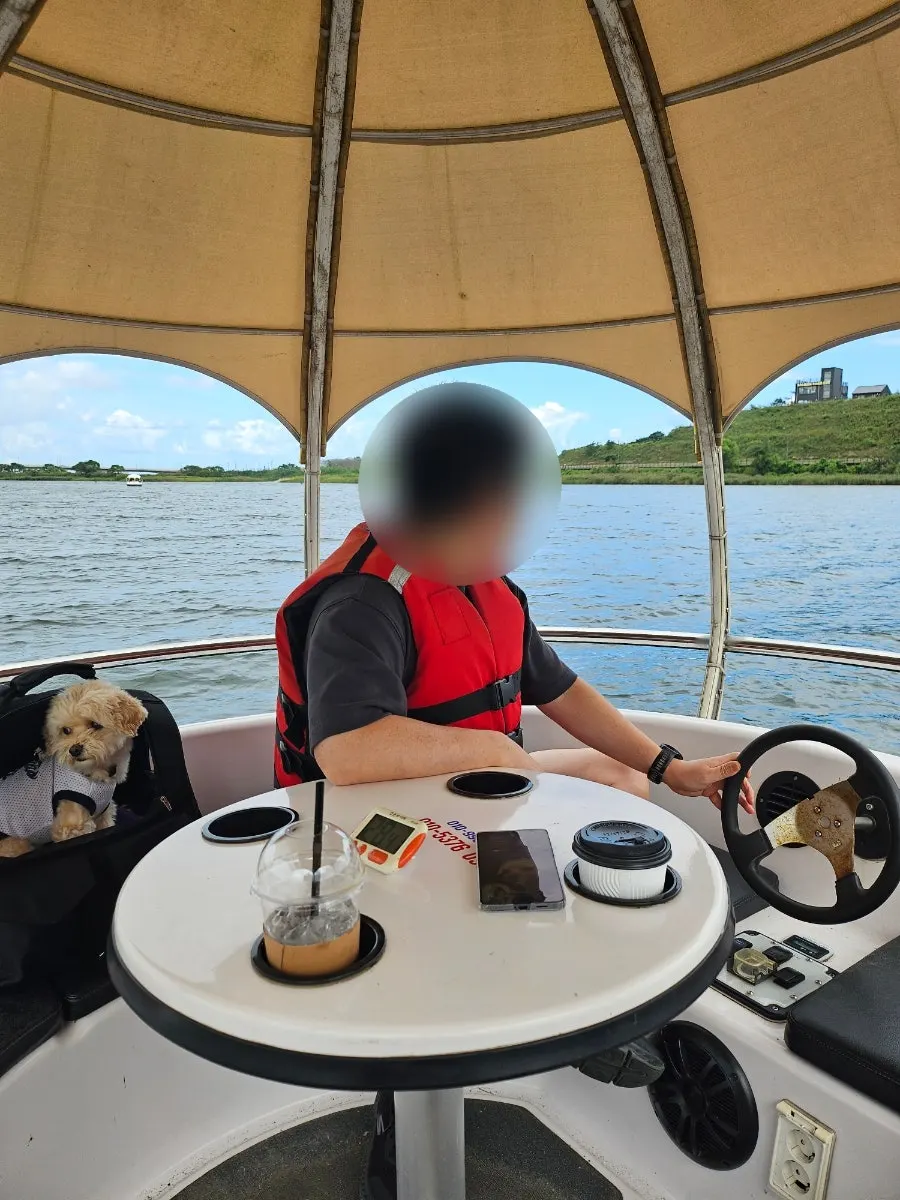 Namdaecheon boat experience with a dog
