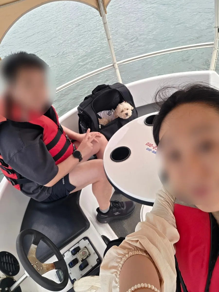 Electric boat steering experience