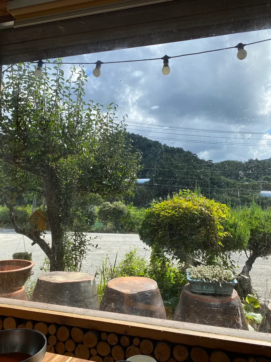 Window seat at Yeoyejeong with a garden view through floor-to-ceiling windows