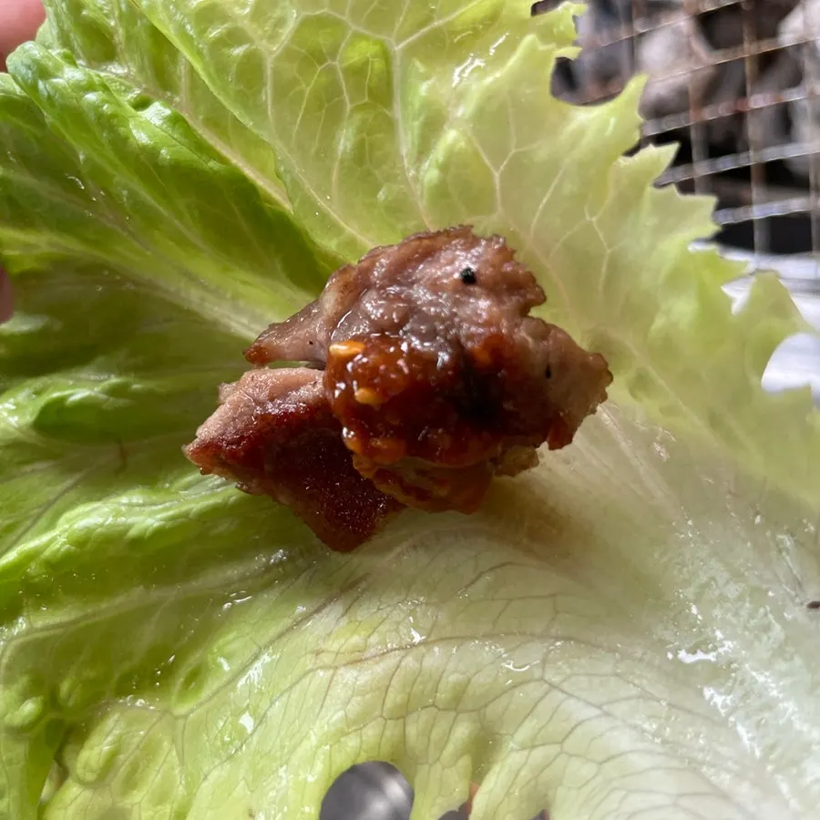 A lettuce wrap with meat inside