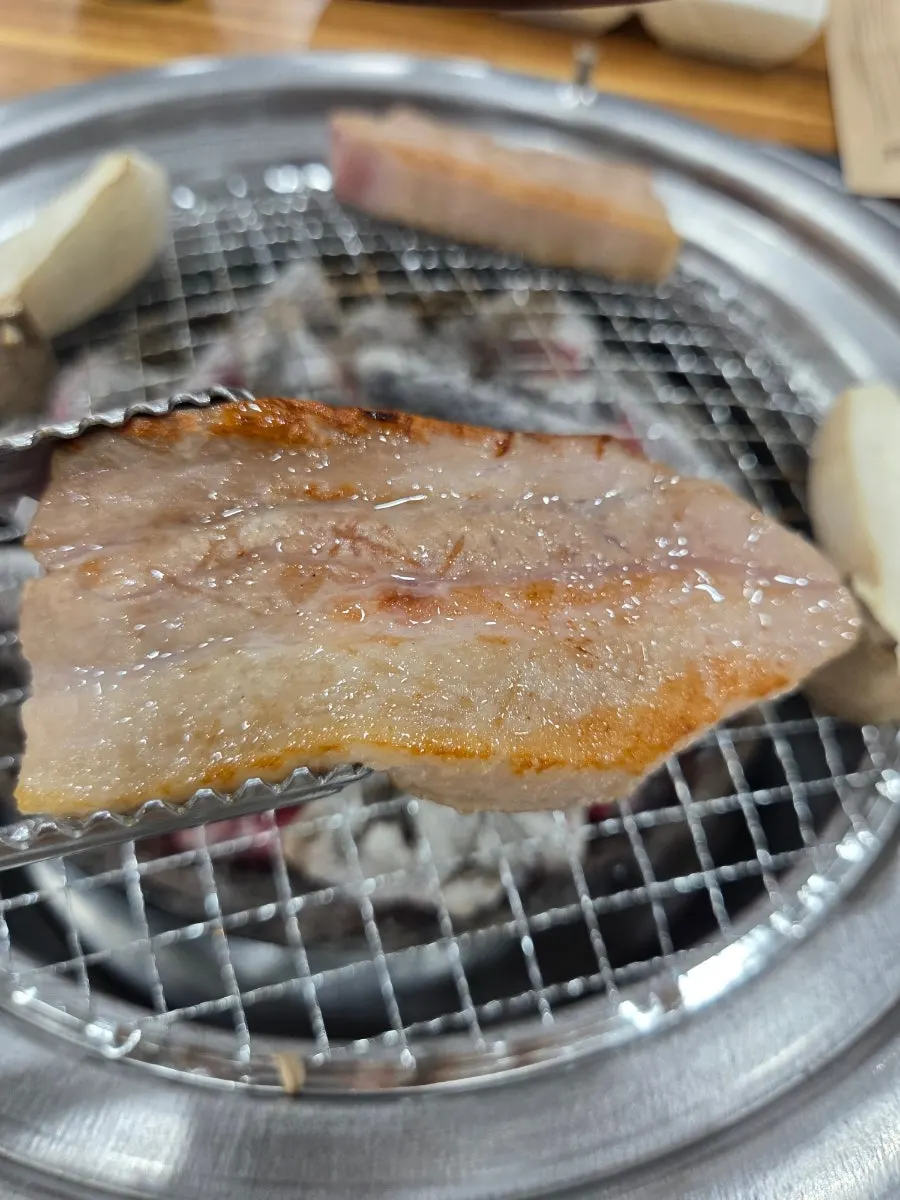 Cross-section of thickly grilled pork belly