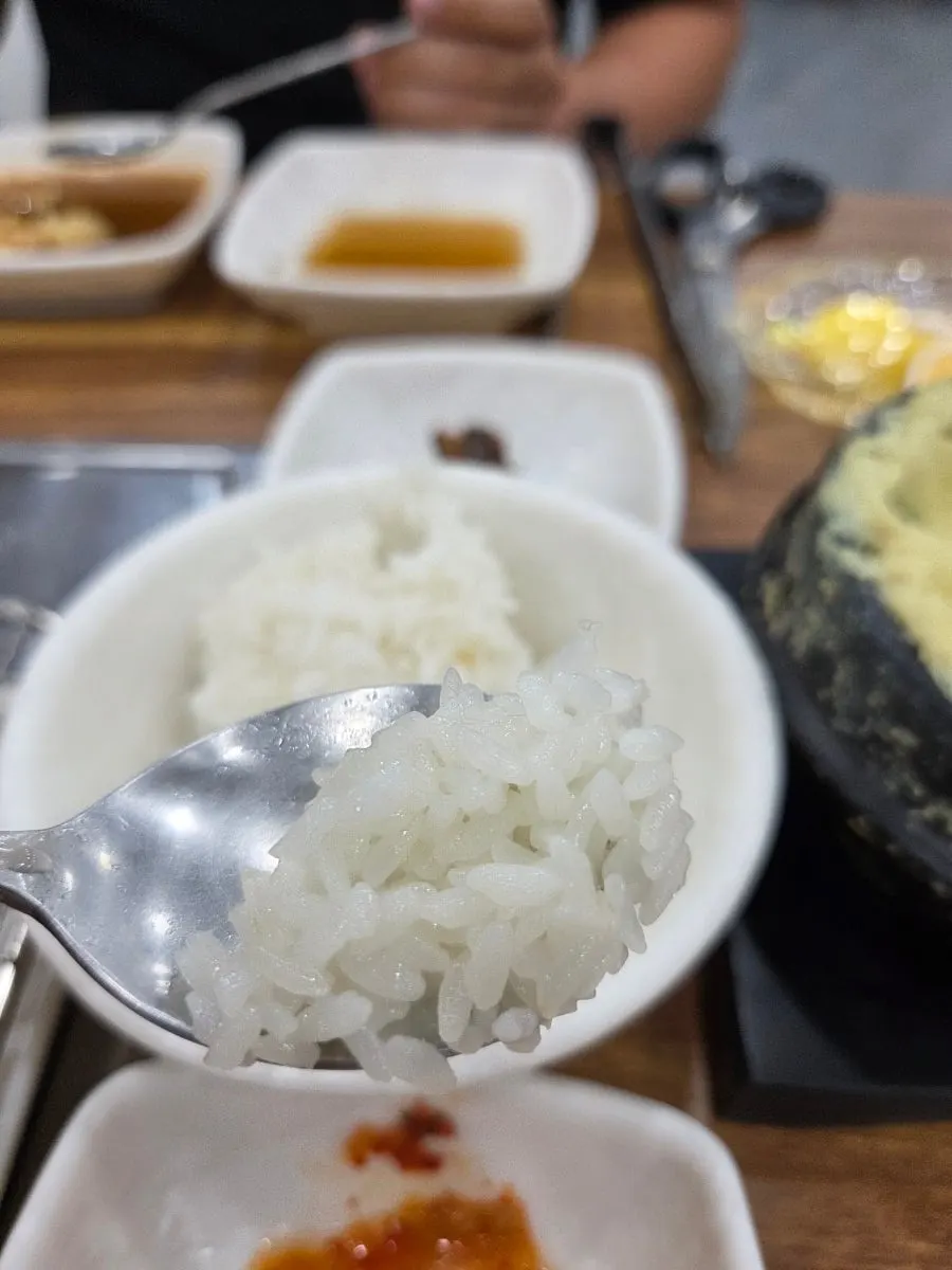 Doenjang jjigae with radish, served alongside pot rice