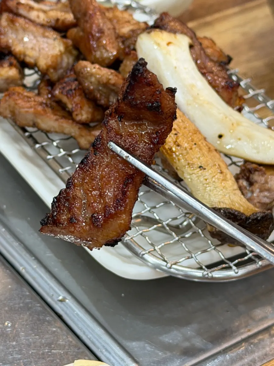 A piece of grilled marinated rib