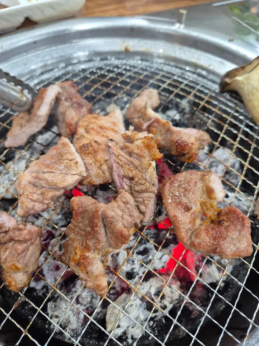 Juicy piece of grilled fresh galbi