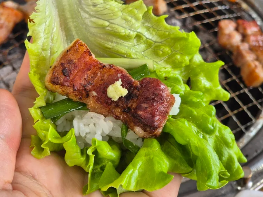 A piece of meat in a lettuce wrap