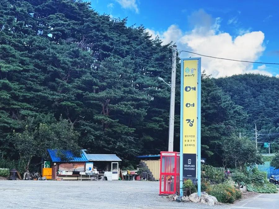 Visiting Yeoyejeong, a Yangyang barbecue restaurant