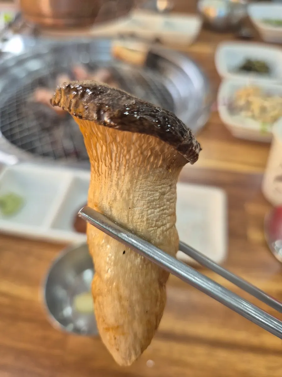 A piece of pork belly with a slice of king oyster mushroom