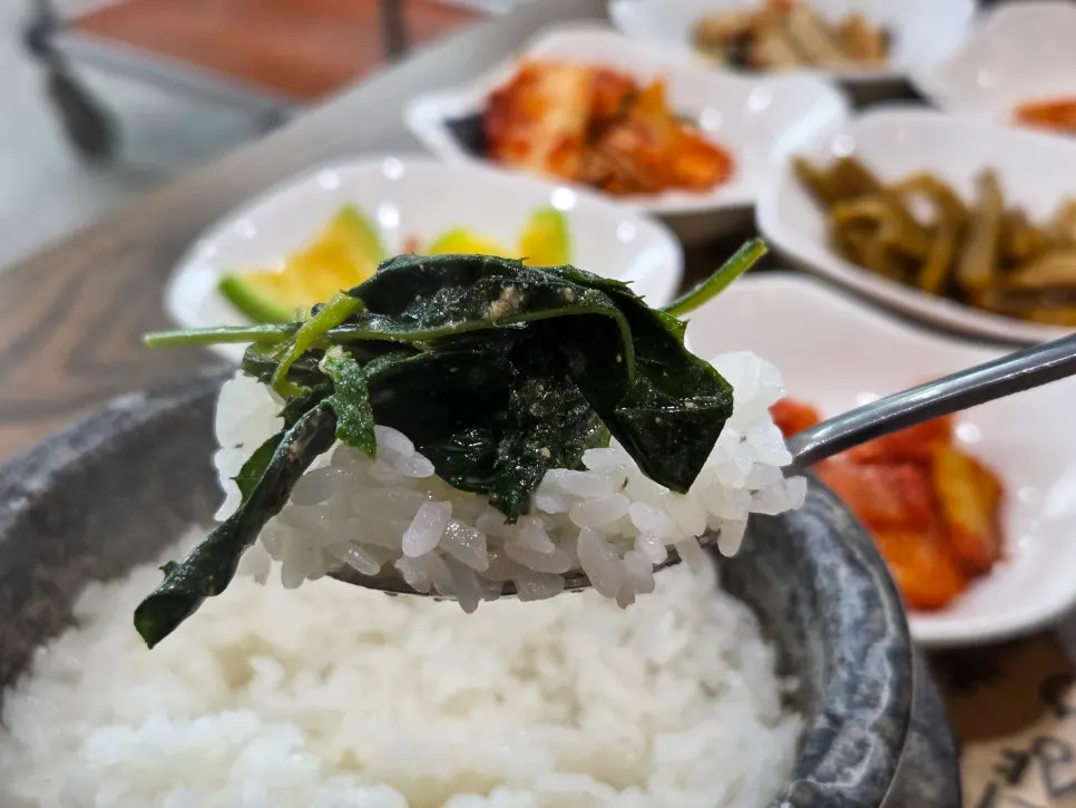 A spoonful of glossy white rice