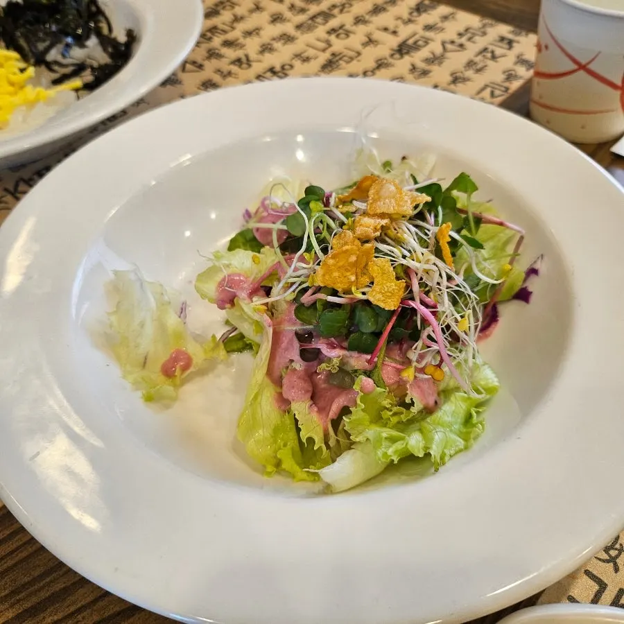 Appetizer salad and cheongpomuk mung bean jelly