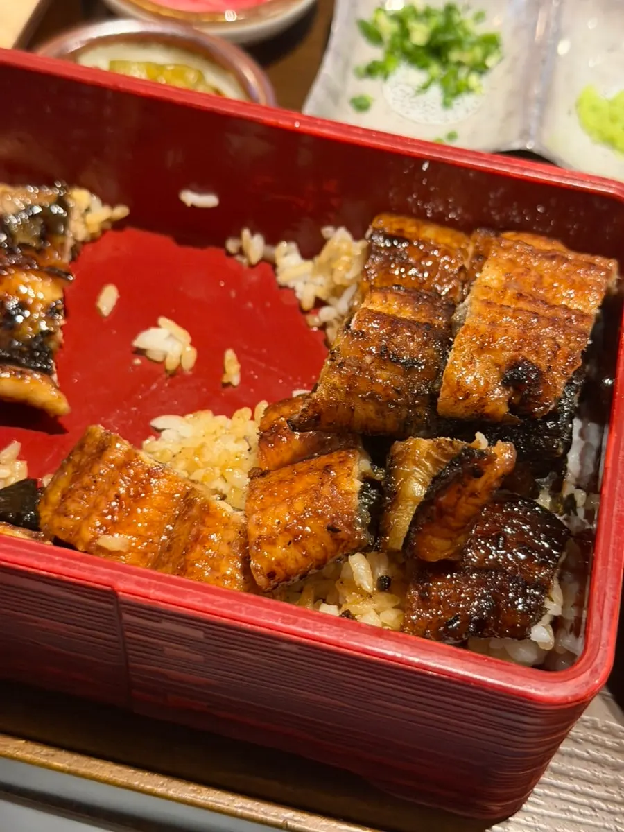Hitsumabushi with seaweed flakes, scallions, and wasabi