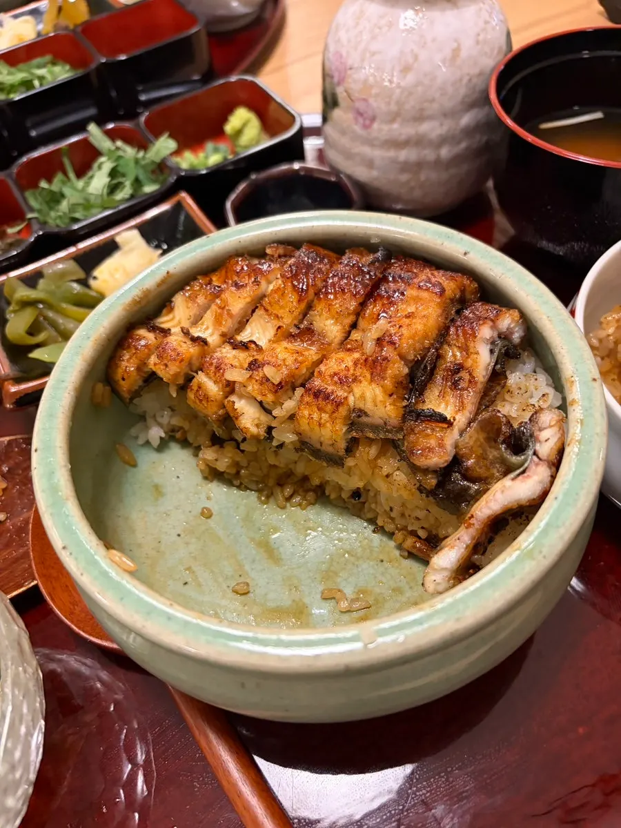 Eel rice bowl topped with scallions and wasabi