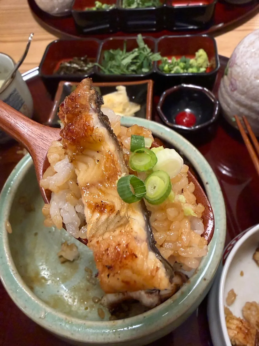 Hitsumabushi with scallions and wasabi