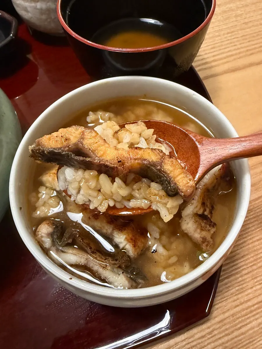 Moist ochazuke rice