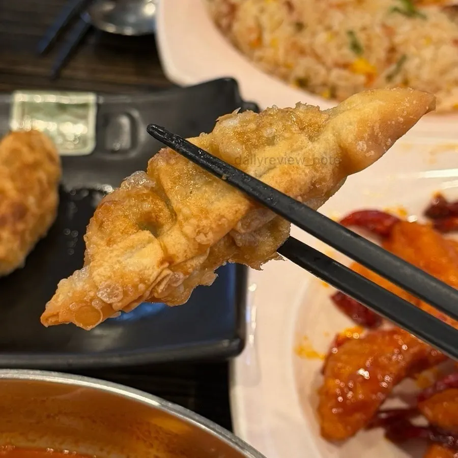 Fried dumplings with a crispy outer shell