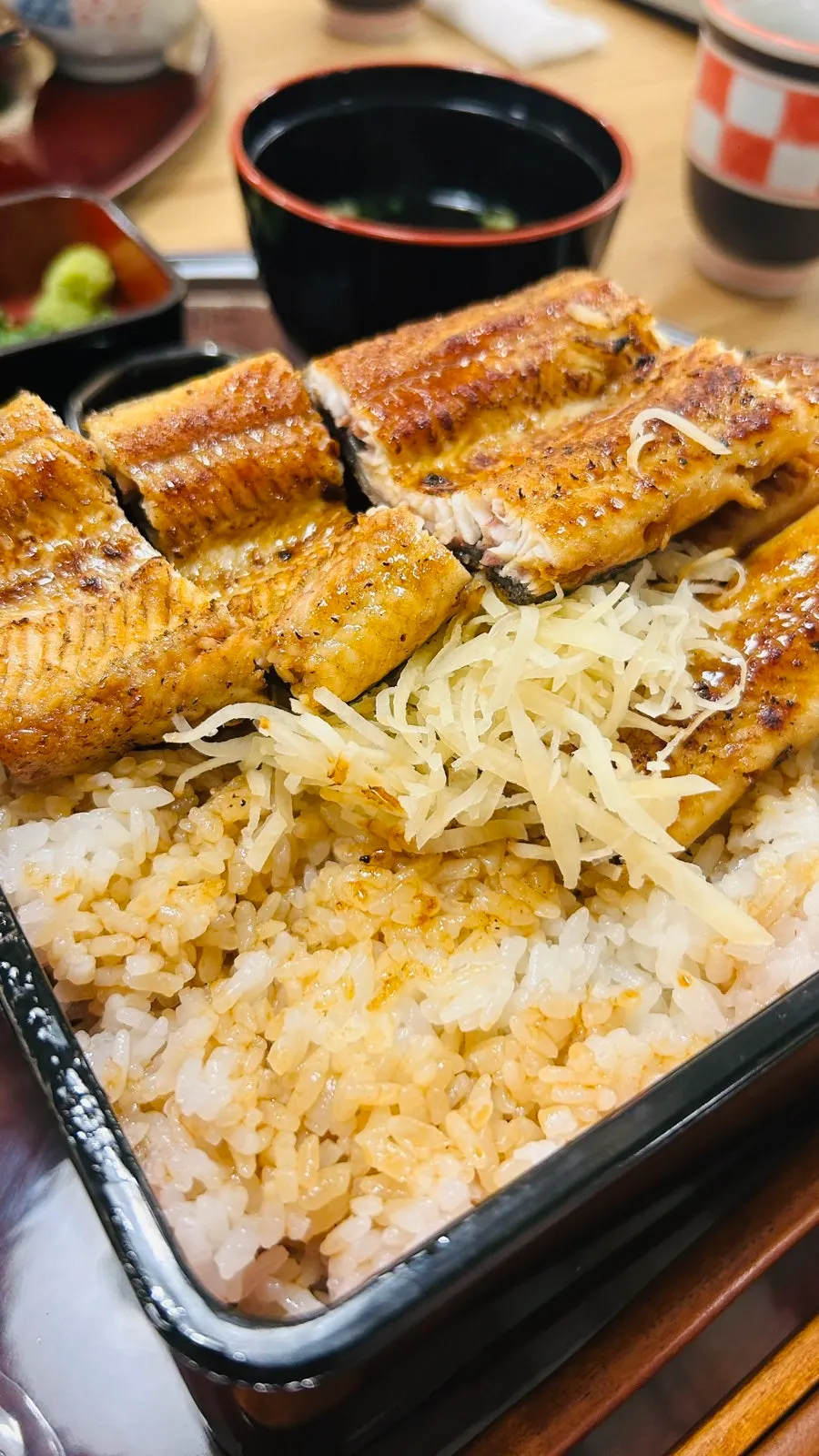Charcoal-grilled eel and rice soaked in tare sauce