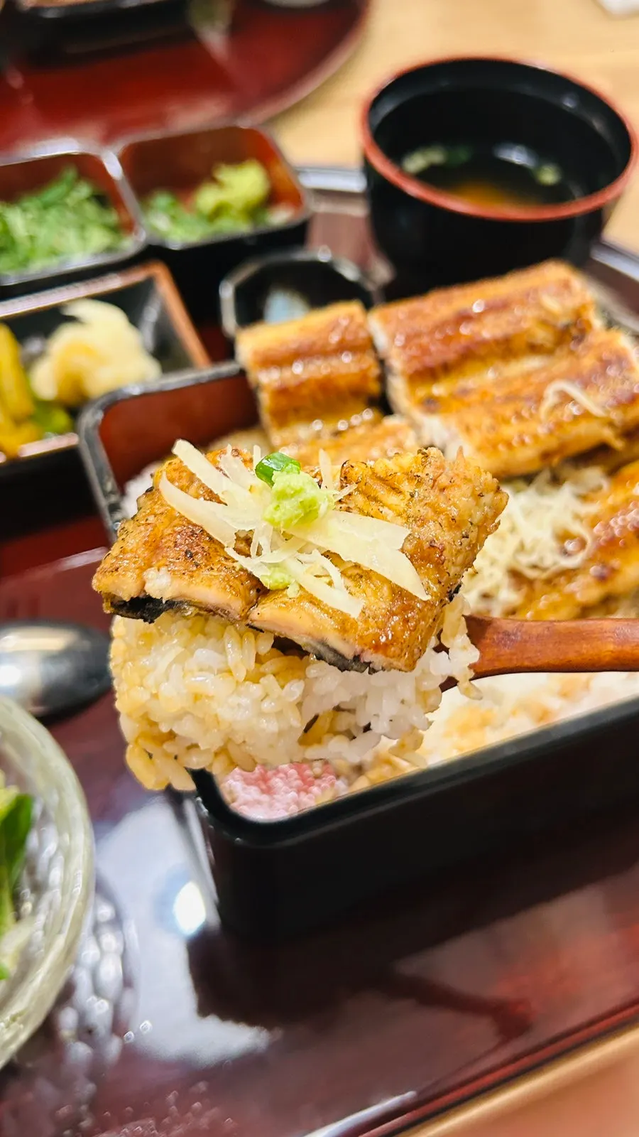 Ginger and wasabi served alongside the eel rice bowl