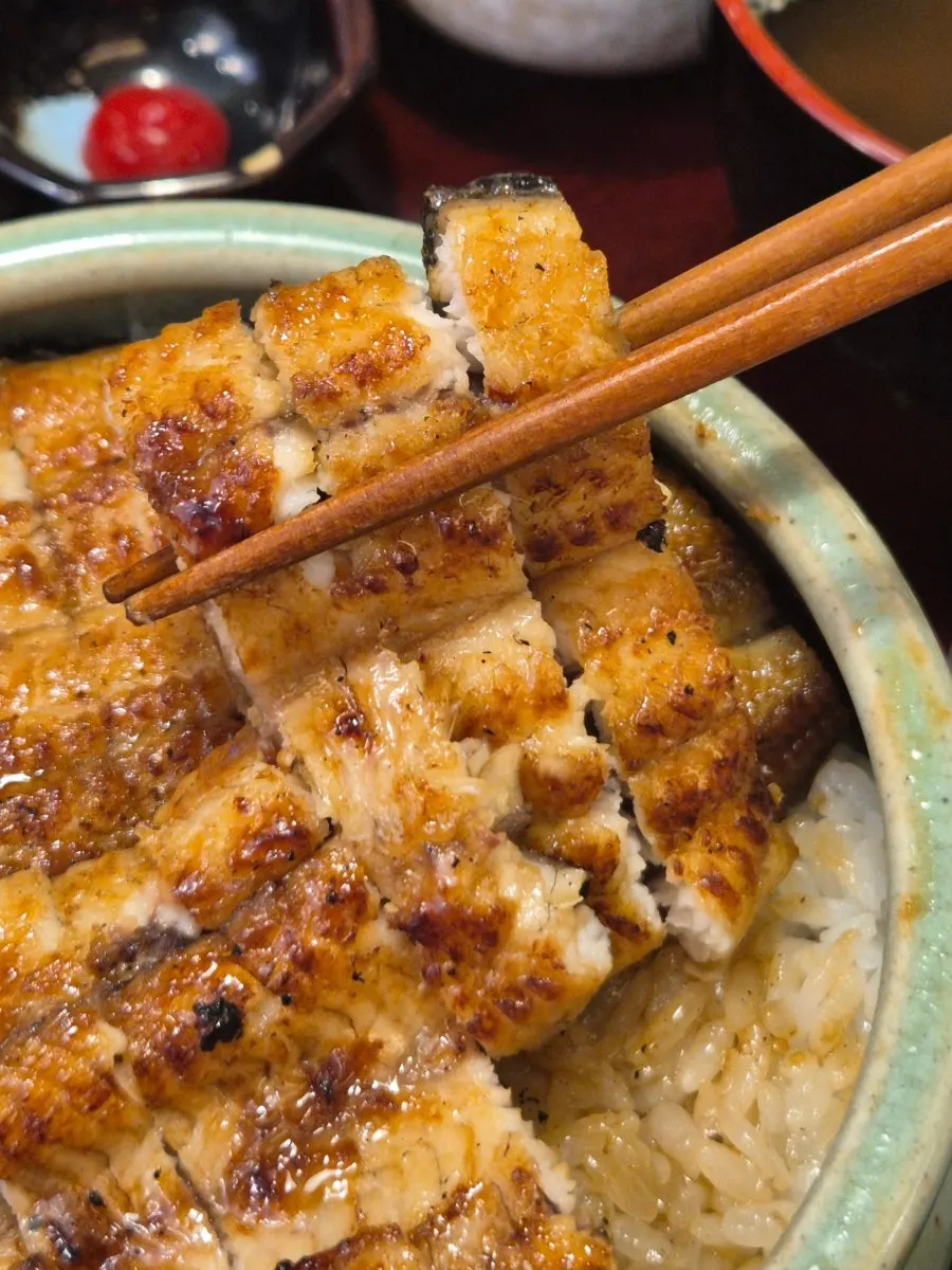 Hitsumabushi topped with seaweed flakes, scallion, and perilla leaf
