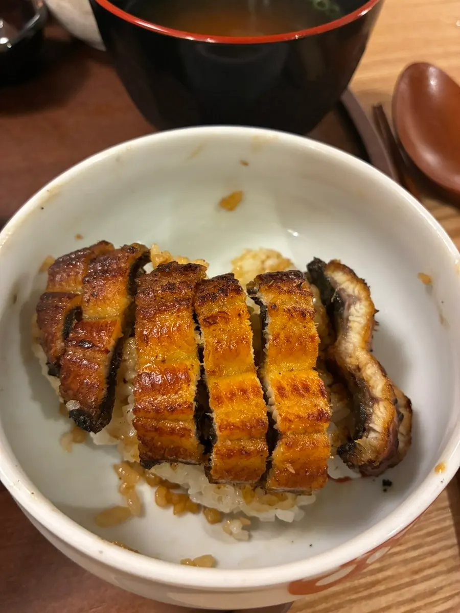 Enjoying eel and rice plain