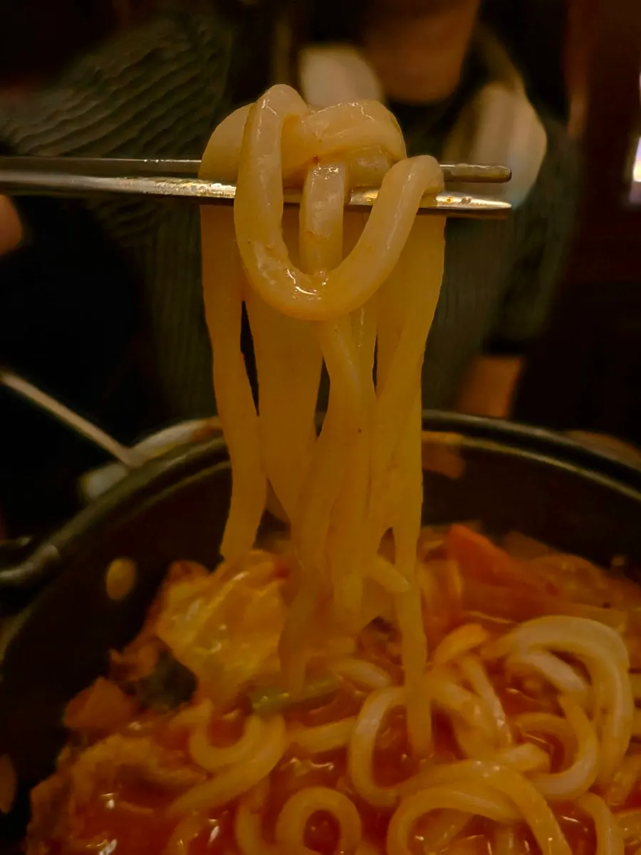 Plump udon noodles lifted out of the broth