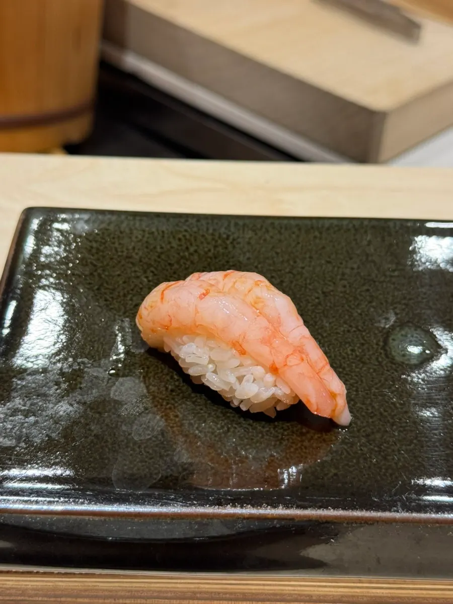 Close-up of a piece of horse mackerel nigiri