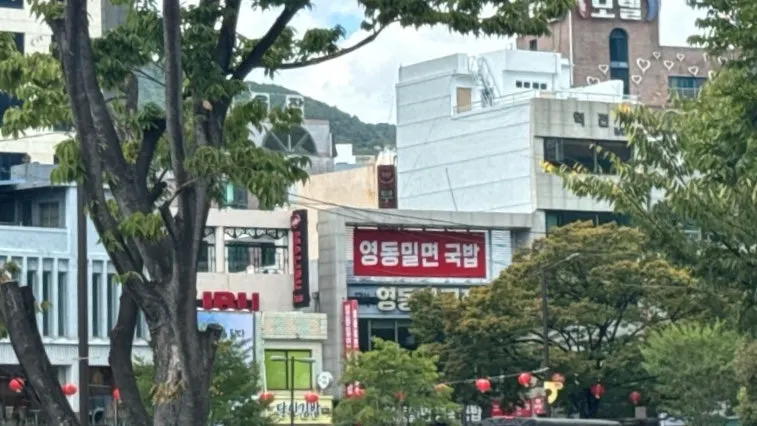 부산 여행 첫 끼로 찾은 영동밀면&돼지국밥
