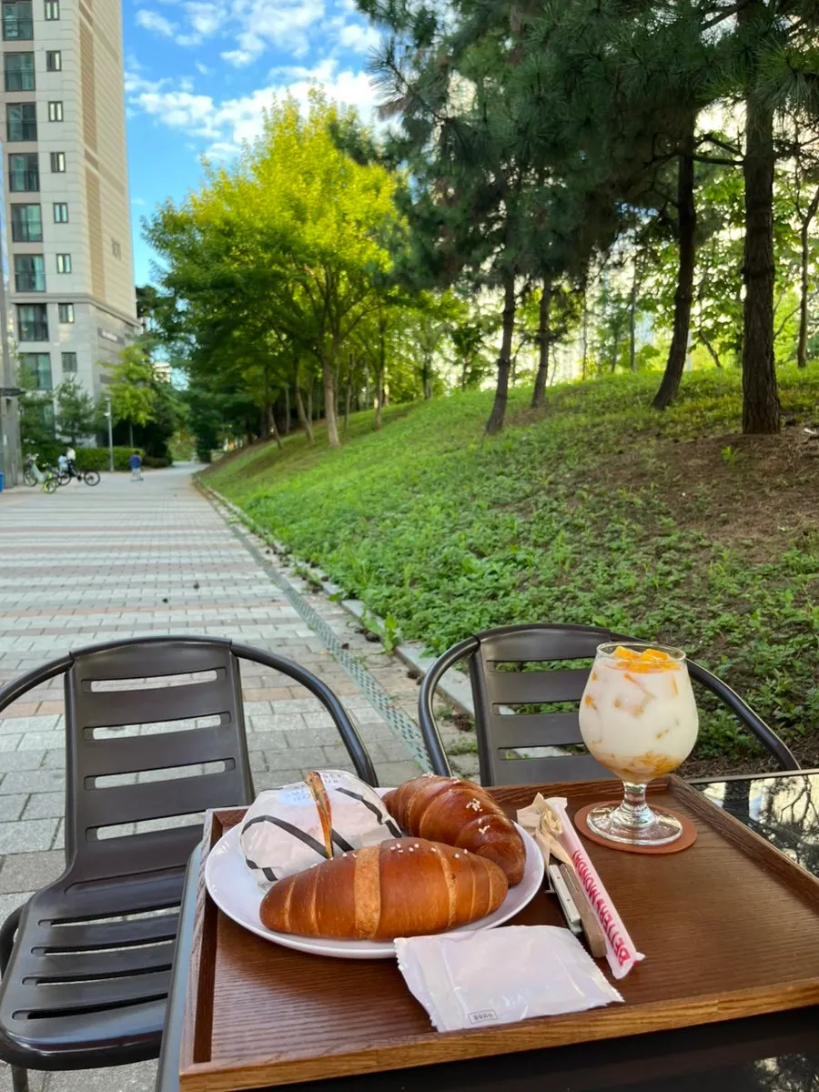 Walking path lined with trees near the outdoor seating