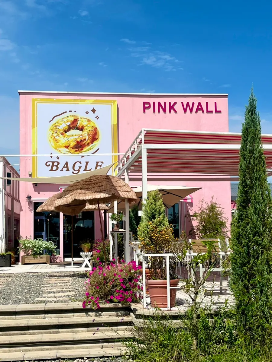 Garden view at Pink Wall Cafe