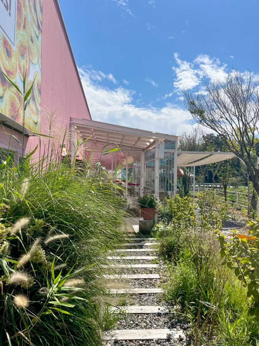Photo spot with flowers and plants