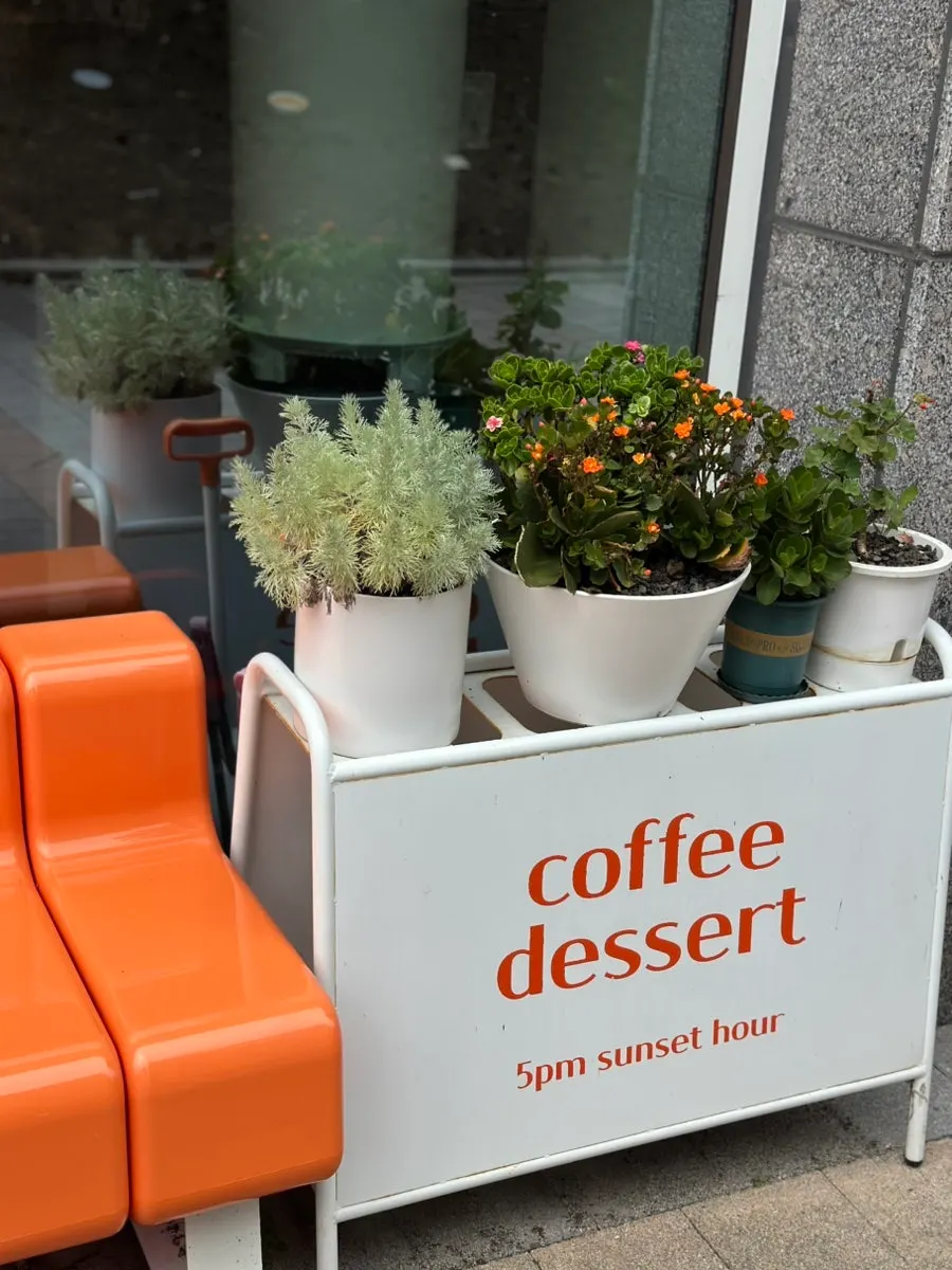 Outdoor terrace at the café