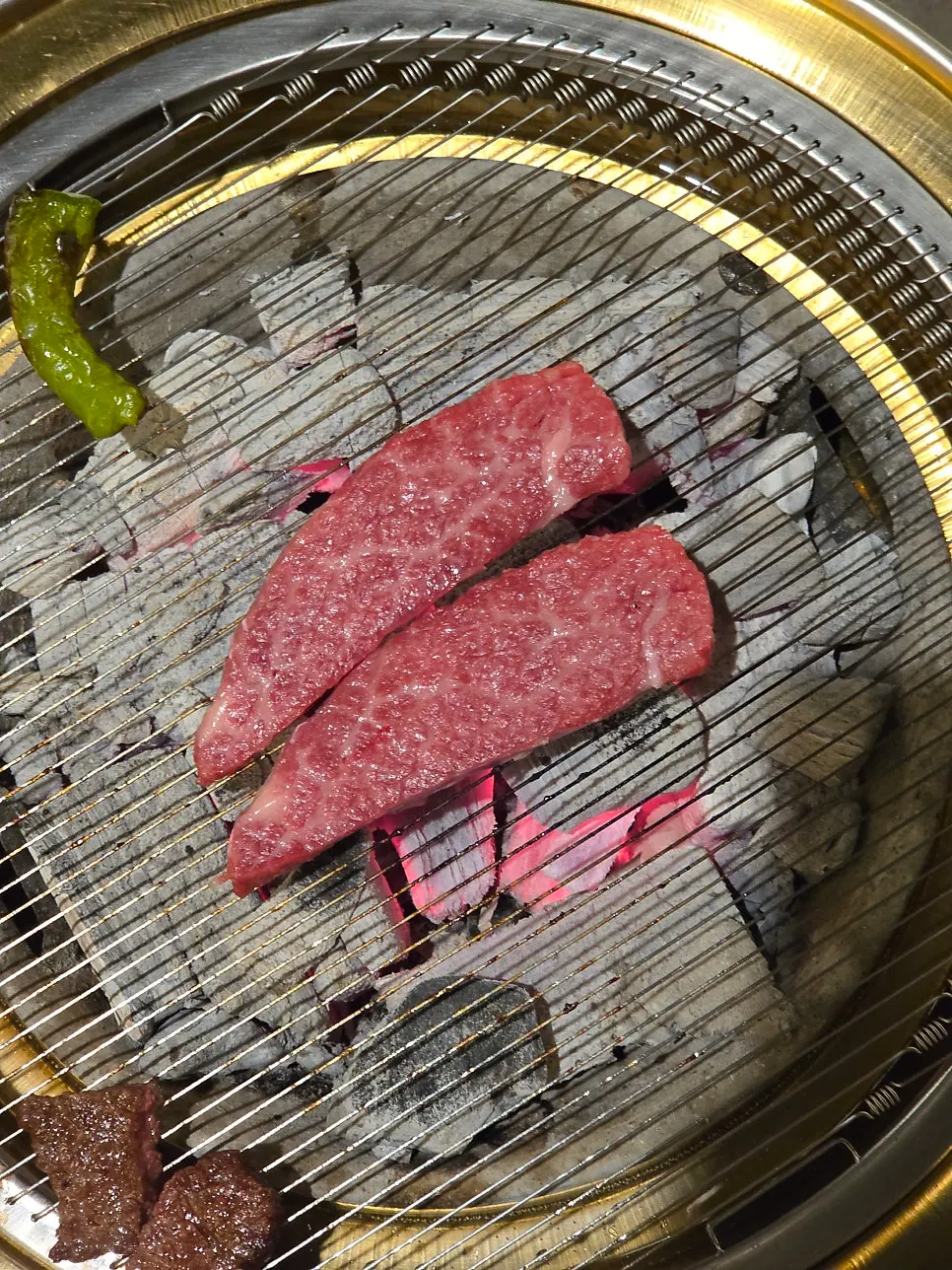 치마살 한 점 집어 든 모습