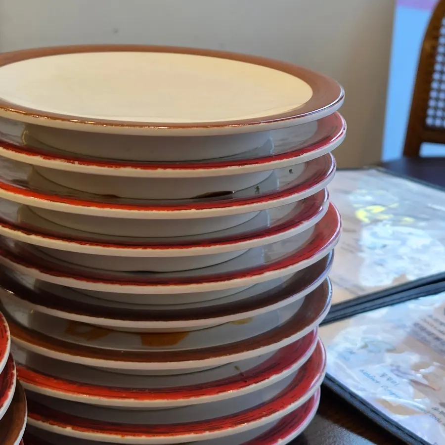 Sushi plates suitable for a family trying various items