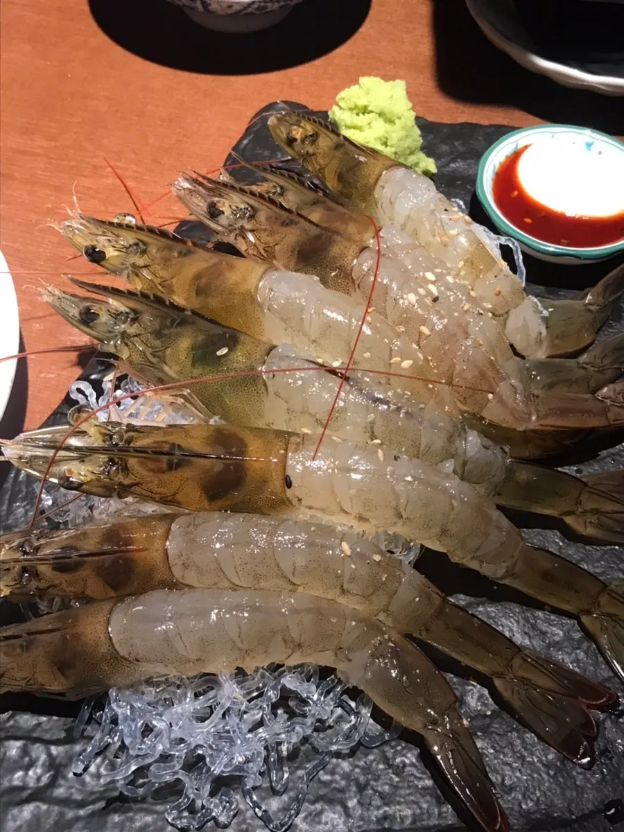 접시에 담겨 나온 생새우회