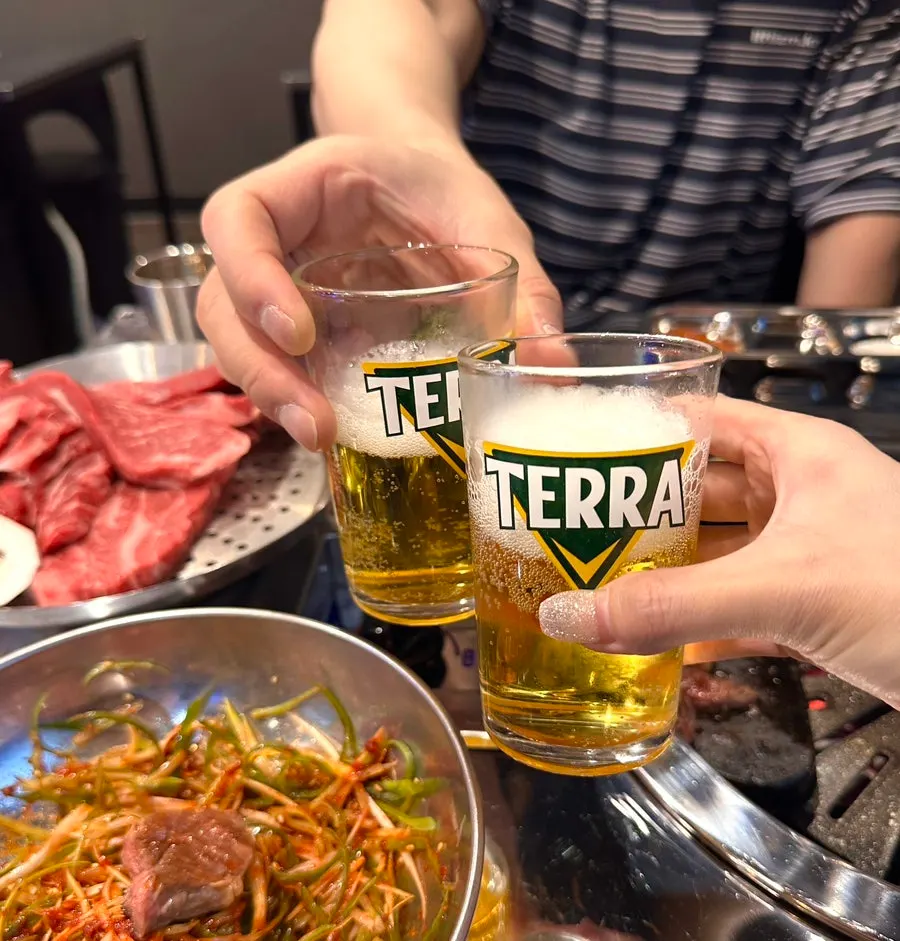 Beef meal with steamed rice