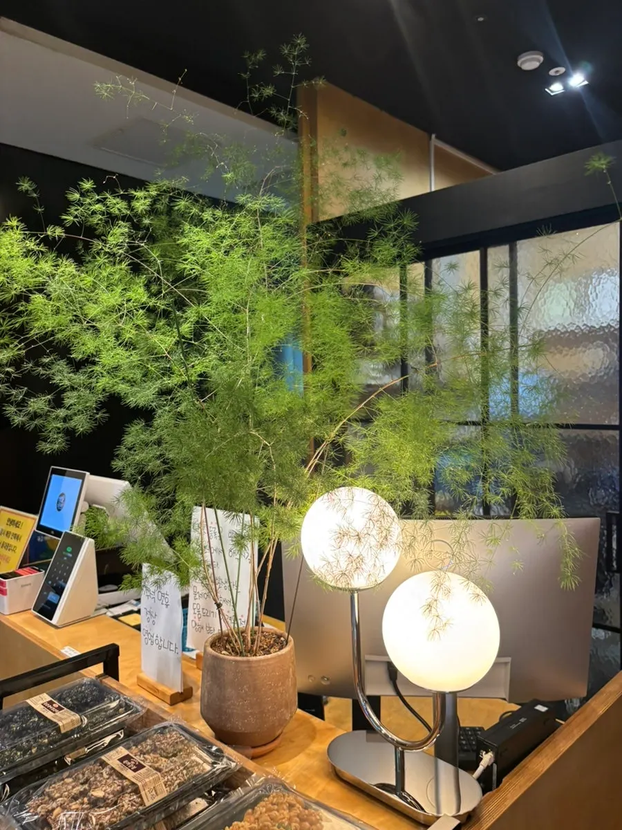 Seating and interior design at Yeongwolae Gondre Ansan Branch