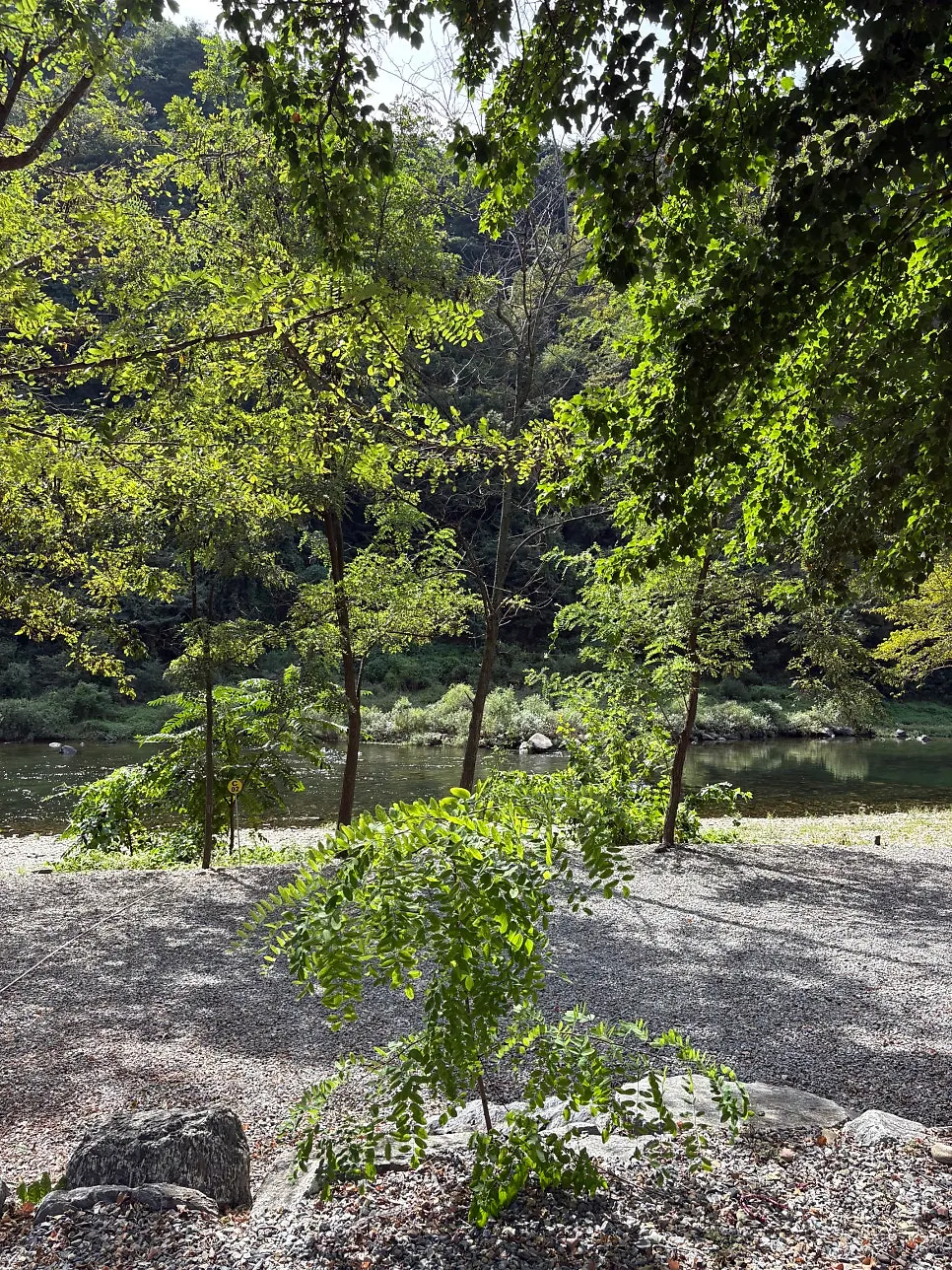 C2 site at Maru Pension Camping Site