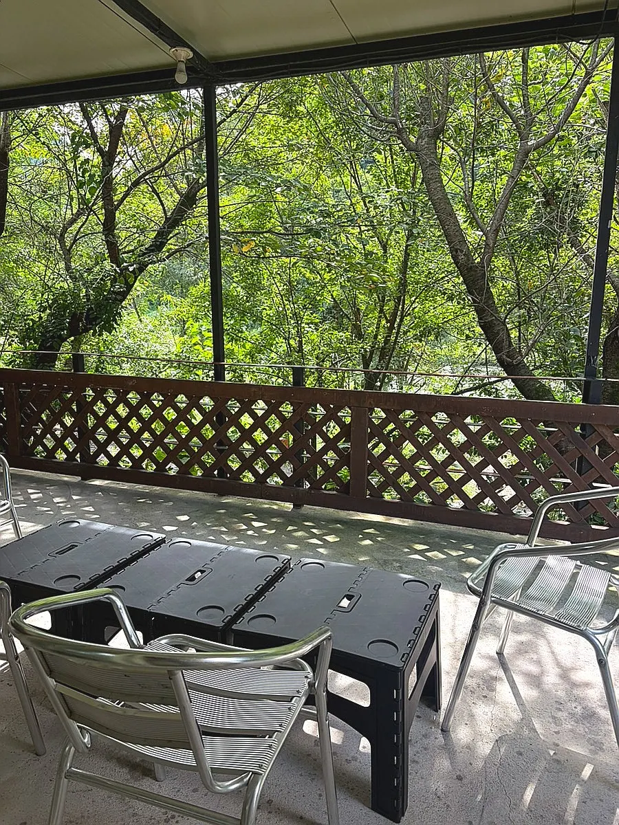 Lush green mountain scenery around the Pyeongchang River