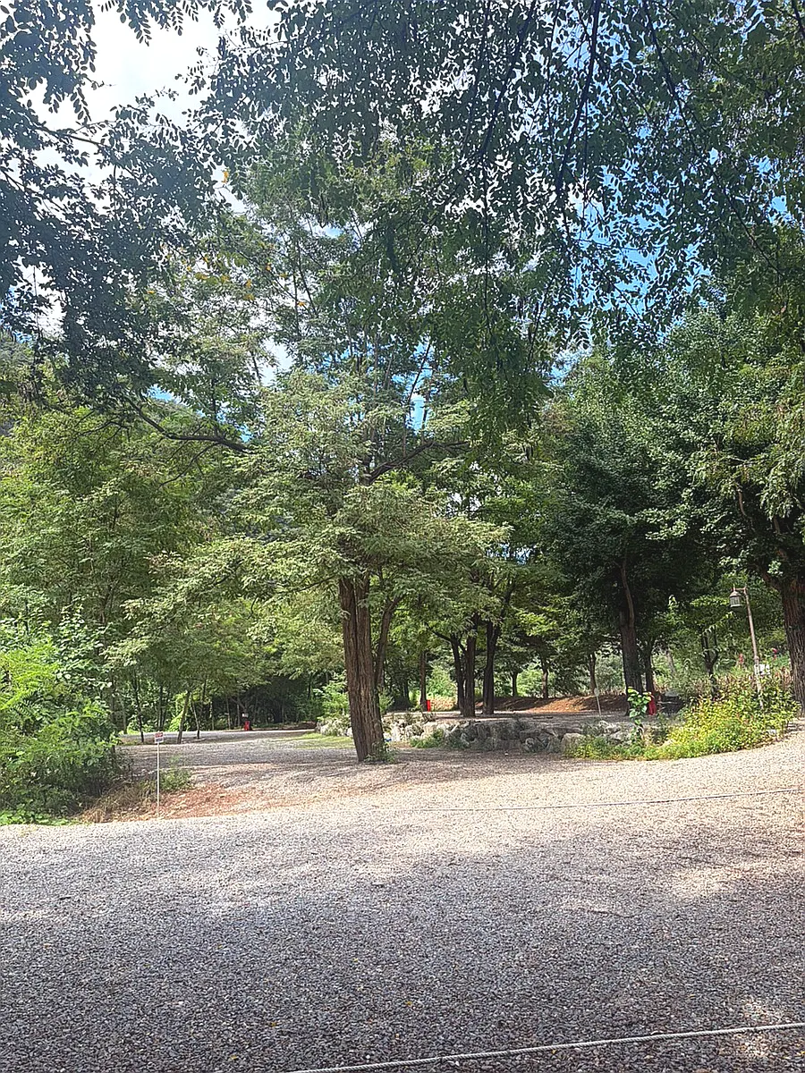 C Site facing the Pyeongchang River