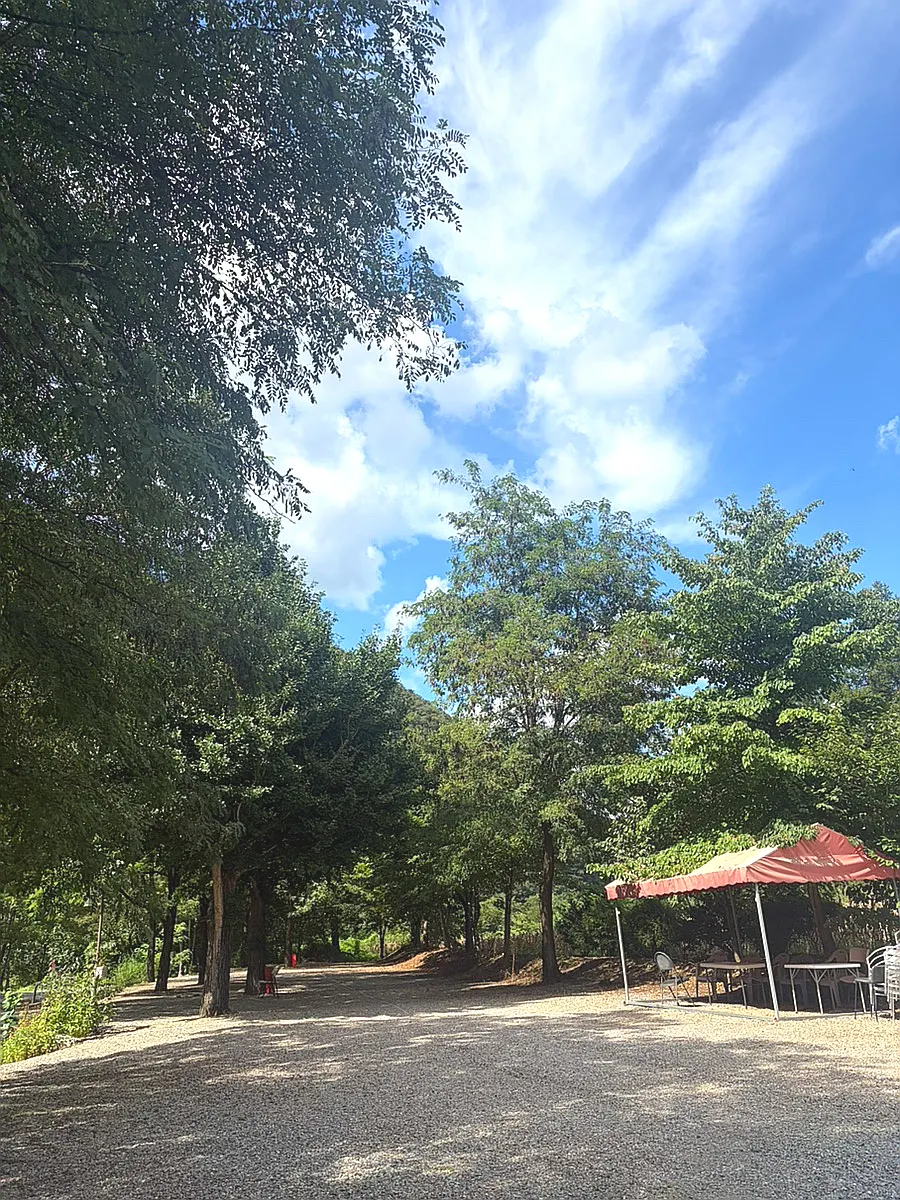 C Site, considered the campground's prime spot