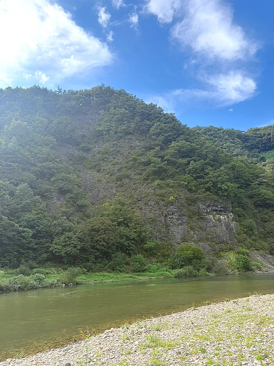 Freshwater snails and fish in the Pyeongchang River